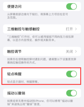 东洲苹果授权维修站分享iPhone轻点无法唤醒怎么办 