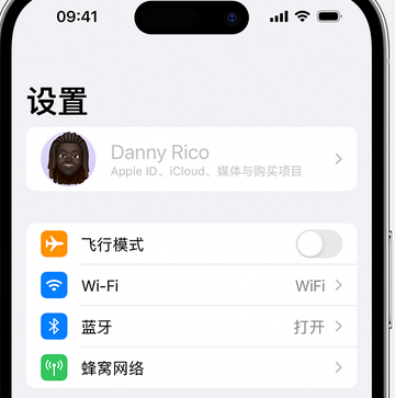 东洲appleID维修服务iPhone设置中Apple ID显示为灰色无法使用