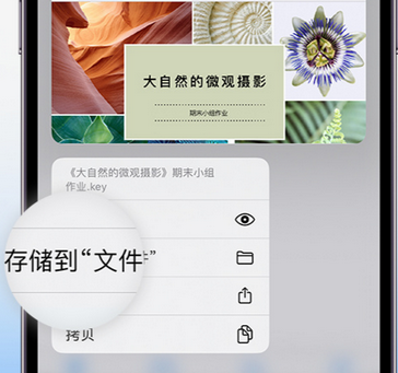 东洲apple维修中心分享iPhone文件应用中存储和找到下载文件