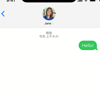 东洲apple维修iPhone上无法正常发送iMessage信息