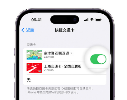 东洲apple维修点分享iPhone上更换Apple Pay快捷交通卡手绘卡面 