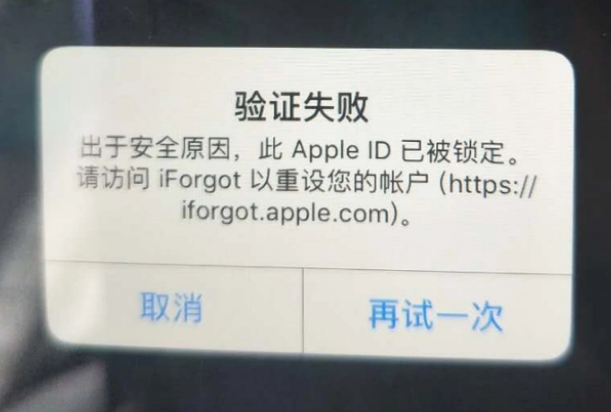 东洲iPhone维修分享iPhone上正常登录或使用AppleID怎么办 