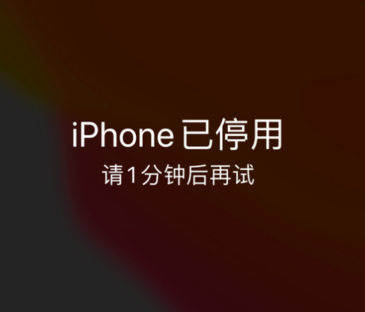 东洲苹果手机维修分享:iPhone 显示“不可用”或“已停用”怎么办？还能保留数据吗？ 