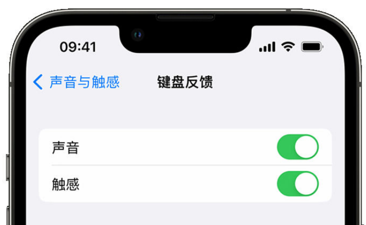 东洲苹果手机维修分享iPhone 14触感键盘使用方法 