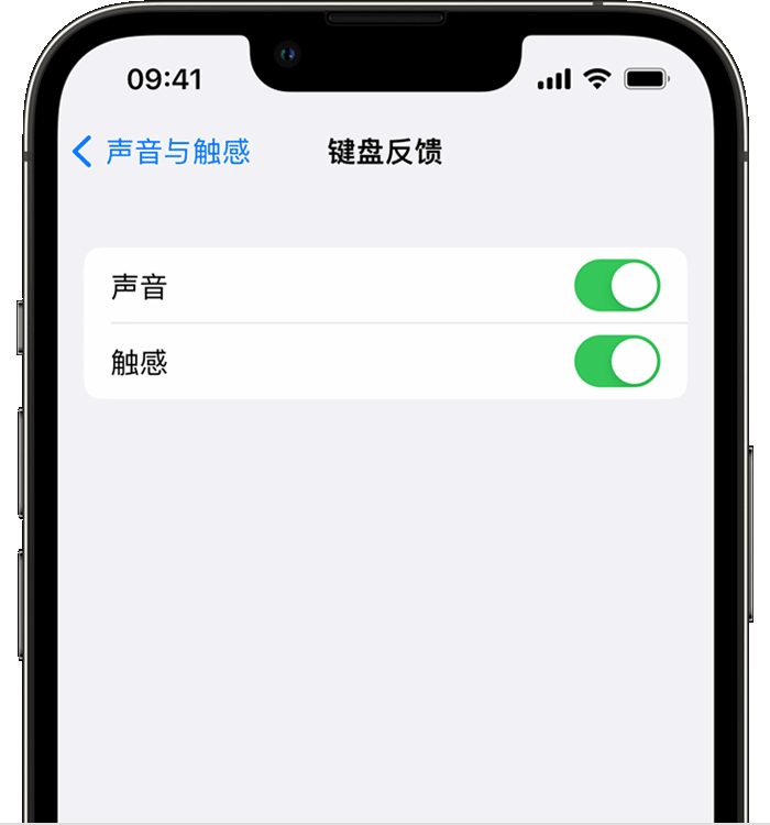 东洲苹果14维修店分享如何在 iPhone 14 机型中使用触感键盘 