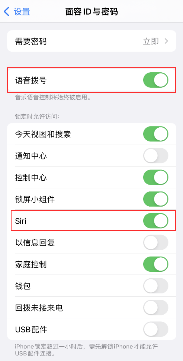 东洲苹果维修网点分享不解锁 iPhone 的情况下通过 Siri 拨打电话的方法 