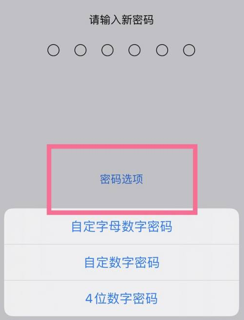 东洲苹果14维修分享iPhone 14plus设置密码的方法 