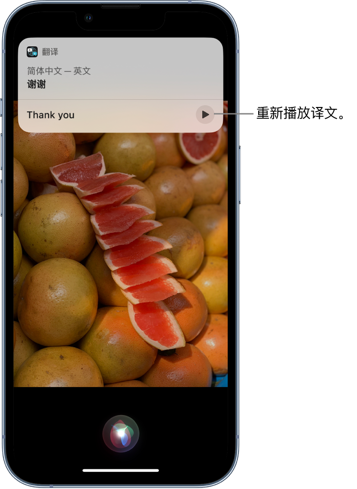 东洲苹果14维修分享 iPhone 14 机型中使用 Siri：了解 Siri 能帮你做什么 