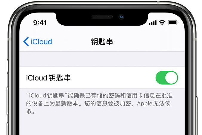 东洲苹果手机维修分享在 iPhone 上开启 iCloud 钥匙串之后会储存哪些信息 