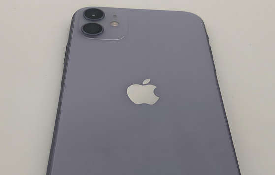 东洲苹果11系统维修分享iPhone11手机系统崩溃无法开机如何解决 
